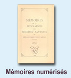 Voir toute la collection